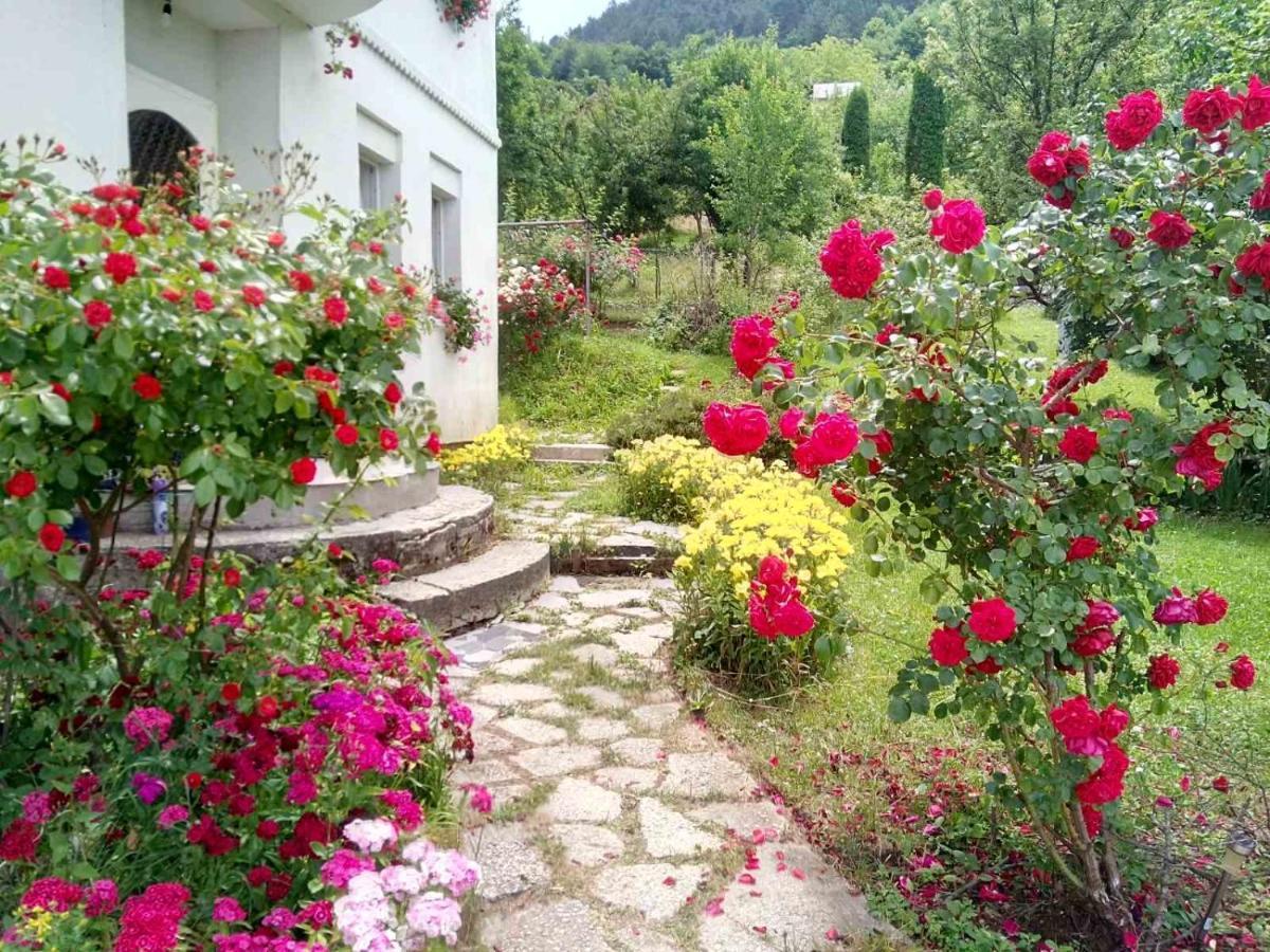 Lalic Rooms Saraievo Exterior foto